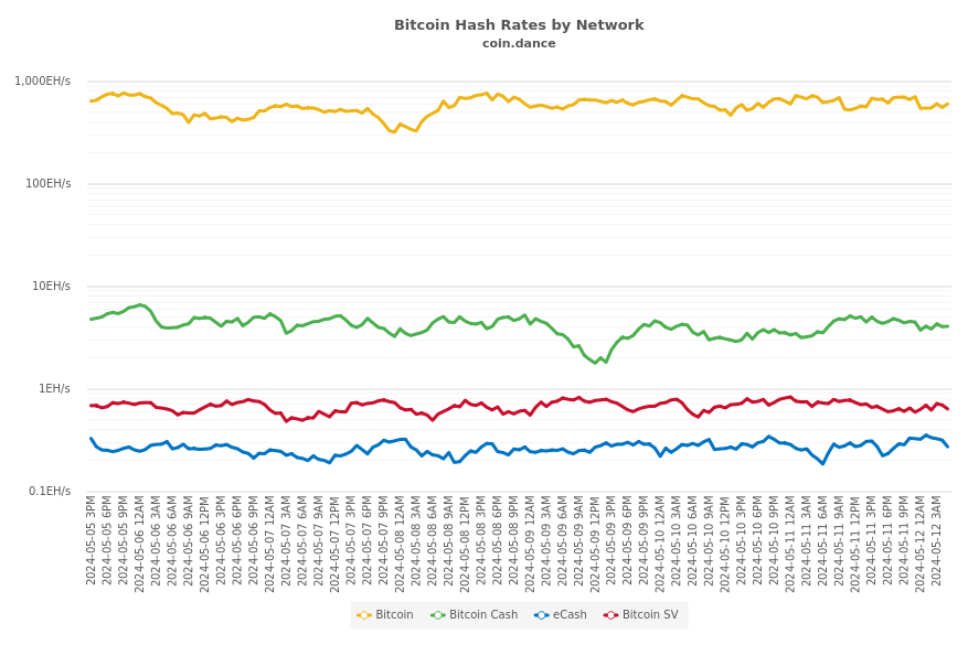 Bitcoin Hash Rates by Network